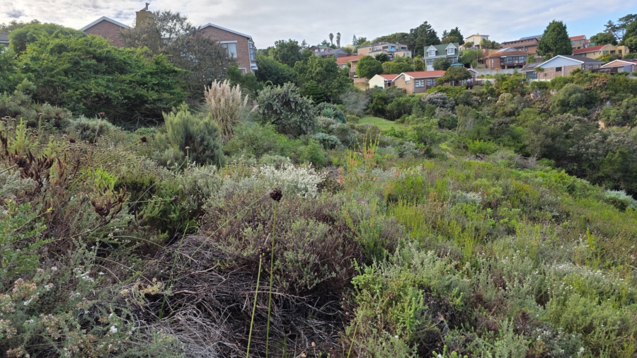  Bedroom Property for Sale in Dana Bay Western Cape